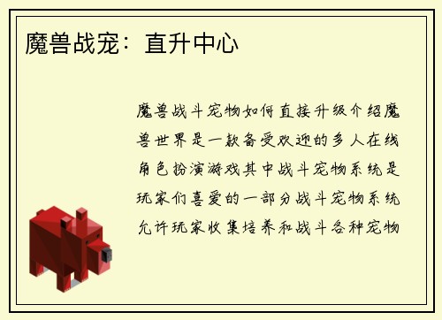 魔兽战宠：直升中心